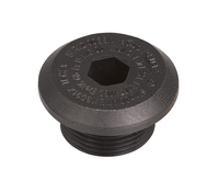 EX PLUG ALLEN SCREW